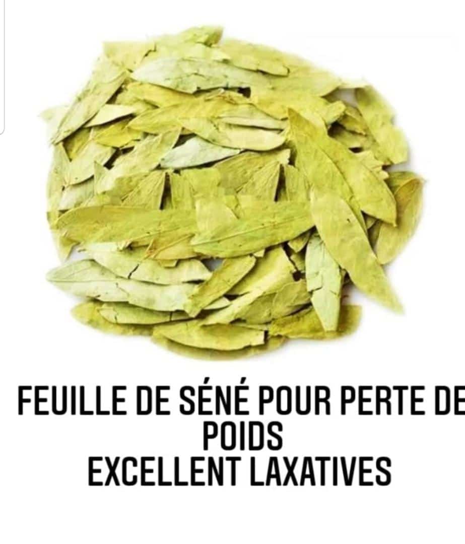 Feuille de Séné pour la perte de poids – Excellent laxatif