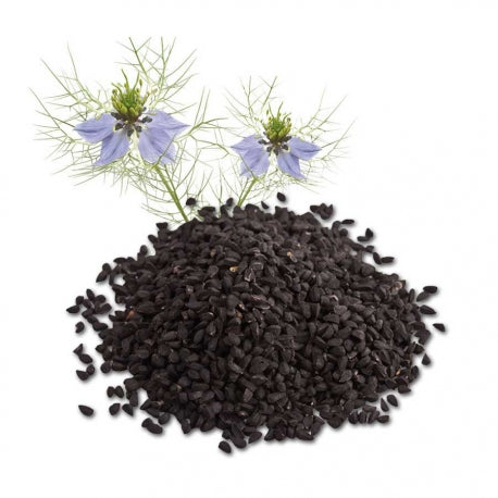 Graines de Nigelle (Habba Sawda)